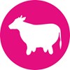 Studio Melkkoe